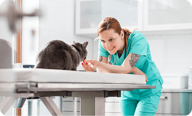 Vétérinaire avec un chat
