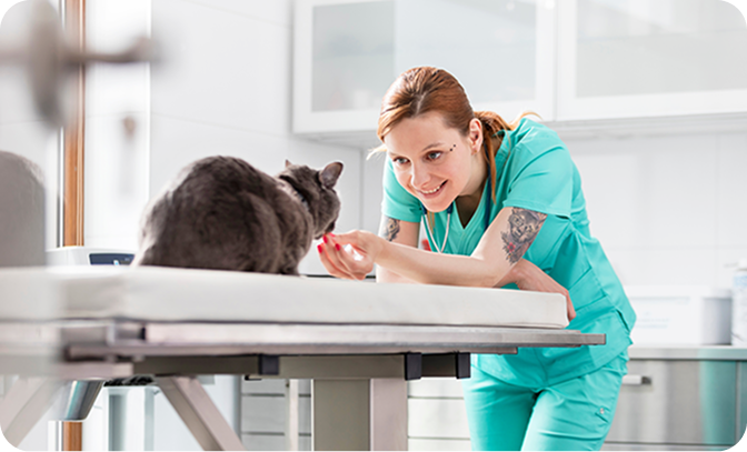 Chat et propriétaire